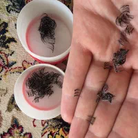 فروش مژه فیشر و گره ای