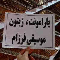 سنتور دست ساز اکبری(۳ مهر چوب گردو)|سازهای سنتی|شیراز, سینما سعدی|دیوار