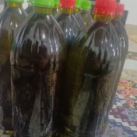 کاربر چت|خوردنی و آشامیدنی|رضوانشهر, |دیوار