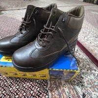 سایز ۴۳|کیف، کفش، کمربند|شبانکاره, |دیوار