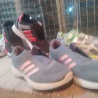 کتانی|کیف، کفش، کمربند|شیروان (خراسان), |دیوار