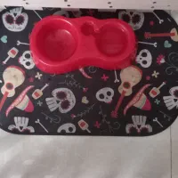 شیتزو|سگ|بیرجند, |دیوار