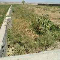 زمین برای شرکت و کارخانه و سوله فروش و معاوضه|فروش زمین و ملک کلنگی|مشهد, کشف|دیوار