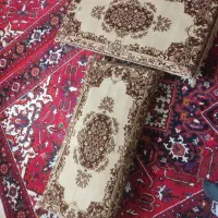 پشتی سالم