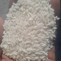 برنج تیلکی عنبربوشوشتر|خوردنی و آشامیدنی|مسجد سلیمان, |دیوار