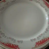 ۱۱ عدد بشقاب پلوخوری چینی