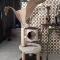 اسکچر|لوازم جانبی حیوانات|رودهن, |دیوار