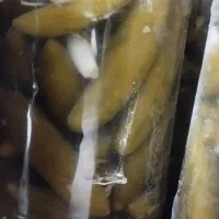 خیارشور1/5لیتری و4لیتری وآبغوره