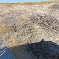 فروش زمین باغی