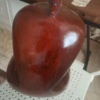 تار شیراز