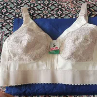 سوتین
