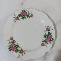 ظروف گل سرخی|ظروف سرو و پذیرایی|برازجان, |دیوار