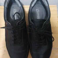 کفش مردانه|کیف، کفش، کمربند|قم, هفت تیر|دیوار