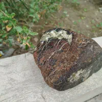 شهاب سنگ آکندرایت|جواهرات|دامن, |دیوار