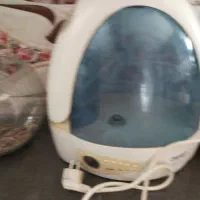 بخور گرم