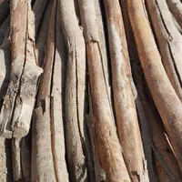 خرید چوب باغی و تیره سقفی و تسویه پای باسکول