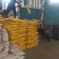 پخش برنج عنبربو وهاشمی ارزانسرا خانم حبیبی|خوردنی و آشامیدنی|همدان, |دیوار