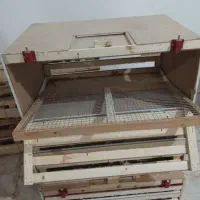 فروش قفس راهکشی‌درحمیدیه|لوازم جانبی حیوانات|حمیدیه, |دیوار