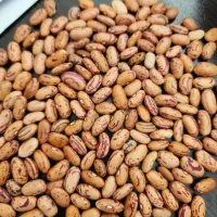 فرصت سرمایه‌گذاری پربازده در بازار  (گوشت و مرغ)