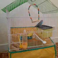 قفس|لوازم جانبی حیوانات|محمدیه-قزوین, |دیوار