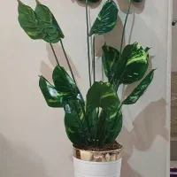 گلدان بزرگ مصنوعی|گل مصنوعی|تهران, بهداشت|دیوار