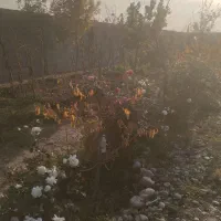 باغچه کاظم ابادگرجی جاده کلات جابری۳|فروش دفتر صنعتی، کشاورزی، تجاری|مشهد, کاظم آباد پنجشنبه|دیوار