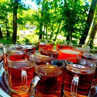 تور یک روزه بسیار شاد اسطرخی شیروان|تور و چارتر|مشهد, توس|دیوار