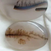 سنگ شجر|جواهرات|شیراز, باغ تخت|دیوار