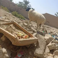بره فروشی