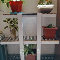 استند گل