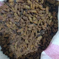 مویز گوشتی