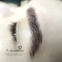 فرصت ویژه میکروبلیدینگ تخصصی ابرو( مدل رای.گان)|خدمات آرایشگری و زیبایی|گرگان, |دیوار