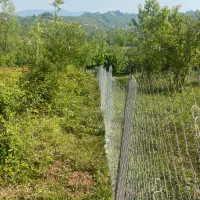 زمین مسکونی|فروش زمین و ملک کلنگی|لاهیجان, شیخ زاهد|دیوار