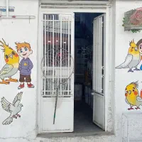 پرنده سرا،،خانه ای برای عاشقان پرنده ها