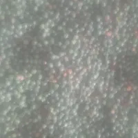 کلنگ تمیز