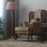 فروش گربه پرشین