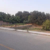 کف قیمت براصلی کمربندی سرخنکلاته جنب شهرک صنعتی