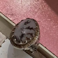 انگشتر نقره