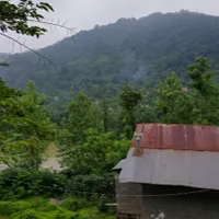 خونه روستایی ۸۰۰متری /شفت/دل جنگل|فروش زمین و ملک کلنگی|احمدسرگوراب, |دیوار