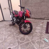 پالس مزایده هندی