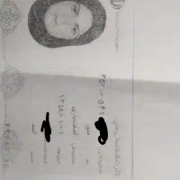 گم کردن کارت ملی و چند کارت دیگر