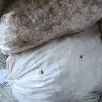 نان خشک بربری ولواش جدا تمیز وبدون آشغال