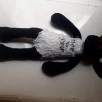 بره ناقلا