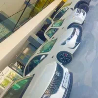 حسابدار خانم