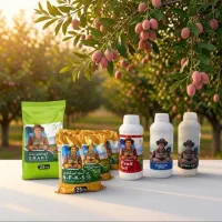 پک کود پسته بالای ۱۵ سال ۳۰ درصد باردهی بیشتر