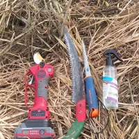 هرس درختان میوه