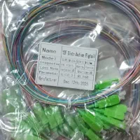 پیگتل APC  رنگی