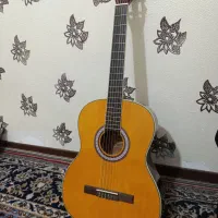 گیتار ساخت چین نو