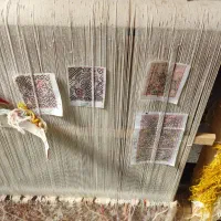 فرش و دارقالی|فرش|ارومیه, |دیوار