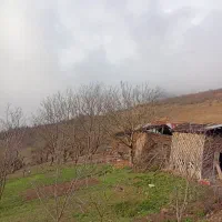 فروش زمین به مساحت ۱۰۰۰متر بامدارک کامل بروز|فروش زمین و ملک کلنگی|تالش, تالش|دیوار